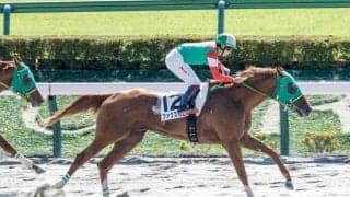 【東京4R新馬戦結果】パイロ産駒の2番人気ファクスカエリが快勝