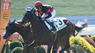 【京都5R新馬戦結果】キズナ産駒ビンドゥングが初陣飾る