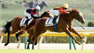 【東京６Ｒ】ボーデコールがセンス抜群の走りで堂々のデビュー２連勝　津村明秀騎手「自信を持って外に出した」