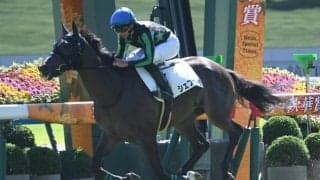 【京都6R新馬戦結果】シルバーステート産駒シェフザーデが人気に応えて3馬身差快勝