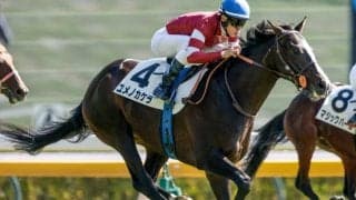 【東京5R新馬戦結果】ルーラーシップ産駒ユメノカケラが差し切り勝ち