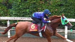 【秋華賞】競走中止のスウィートハピネスは最終コーナーで左前肢跛行を発症　モンローウォークが無敗Ⅴ
