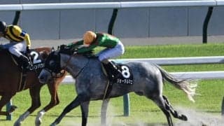 【JRA・WIN5】本日のWIN5は的中8794票、配当5万9940円