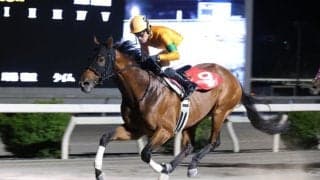 【高知・月見台特別】ディープインパクト産駒・ケイアイシェルビーが一騎打ち制し3連勝