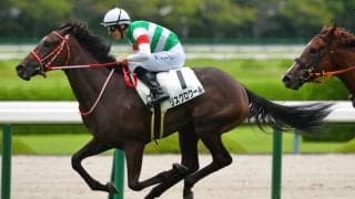 【アルテミスS登録馬】良血リスグロワールなど14頭