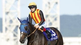 【秋華賞】レース後ジョッキー談話…ルメール「G1レベルの馬」ドリームコアはいい伸びを見せるも3着