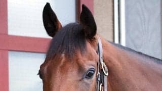 レガレイラは天皇賞・秋で岩田望来騎手と新コンビ　サンデーサラブレッドクラブが発表