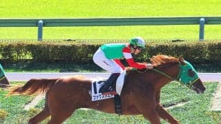 【注目馬動向】斎藤誠厩舎の新馬Ｖファクスカエリはもちの木賞、ワンダフルワールドは赤松賞を視野