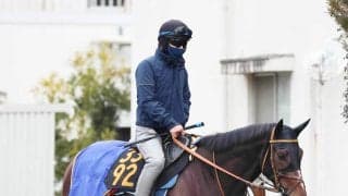 【菊花賞・超ブル診断ステップレース編】データ的には名馬タマモクロス級！　圧勝続きの素質馬が最高評価