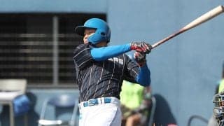 「ホームラン不足で悩んでいる球団は獲りに行ったほうが」日本ハム21歳右の大砲候補の戦力外に他球団ファンも熱視線　高校通算49本塁打「大阪出身でタイガースファン」「育成でもいいから獲ってほしいなぁ」