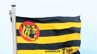 【25年ドラフト通信簿】３球団競合の１位立石正広は38試合にとどまる／阪神