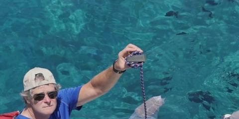 “シャークバンズ”サーファー要チェックのシャークアタック対策リストバンド