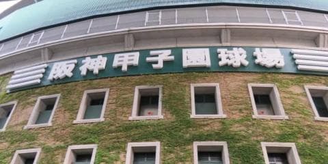 高校野球の夏、秋へと続くSTORY