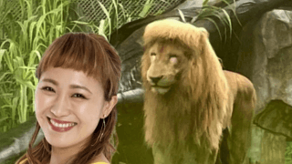 「snsで丸山桂里奈やん🦁て呟かれてました」丸山桂里奈⚽️話題の前髪🦁ライオンと激似⁉️の声