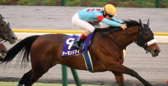 シンボリルドルフの壁を越えた芝GI・8勝目 アーモンドアイの偉業達成から5年