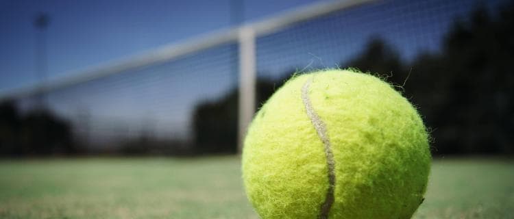 大坂なおみ、全豪の結果次第で世界１位も？準々決勝は、世界7位スビトリナと対戦