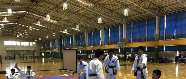 少林寺拳法 男子/組演武 準優勝で夏終える 川越東高校