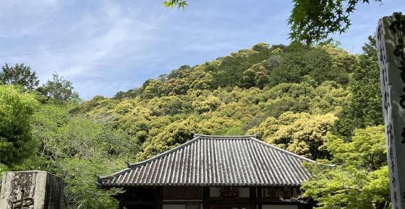 「歴史とエネルギー溢れる場所を航海したい」ランズエンド代表・崔領二が国宝プロレスにこだわる理由